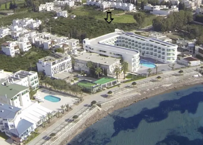 دراغوت بوينت ساوث الشامل كليًا